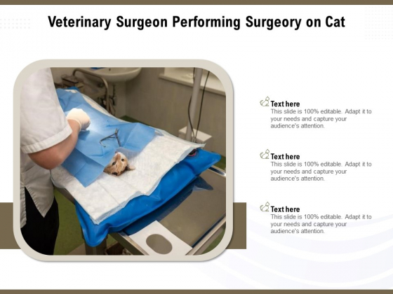 Veterinary Surgeon Performing Surgeory On Cat Ppt PowerPoint Presentation Pictures Background Images PDF Veterinary Surgeon Performing Surgeory On Cat Ppt PowerPoint Presentation Pictures Background Images PDF