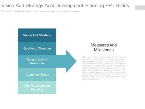 Vision And Strategy Acct Development Planning Ppt Slides Vision And Strategy Acct Development Planning Ppt Slides