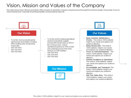 Vision Mission And Values Of The Company Portrait PDF