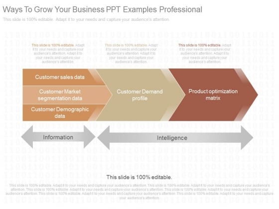 Ways To Grow Your Business Ppt Examples Professional Ways To Grow Your Business Ppt Examples Professional