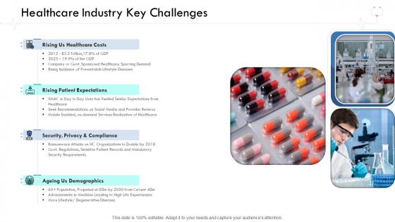 Wellness Management Healthcare Industry Key Challenges Ppt Professional Portfolio PDF