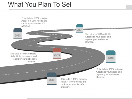 What You Plan To Sell Ppt PowerPoint Presentation Example What You Plan To Sell Ppt PowerPoint Presentation Example