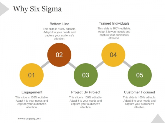 Why Six Sigma Ppt PowerPoint Presentation Infographics Why Six Sigma Ppt PowerPoint Presentation Infographics