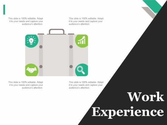 Work Experience Tamplate 1 Ppt PowerPoint Presentation Pictures Sample