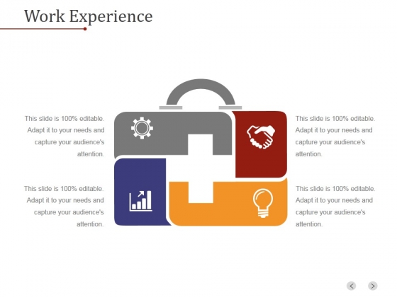 Work Experience Template 1 Ppt PowerPoint Presentation Styles