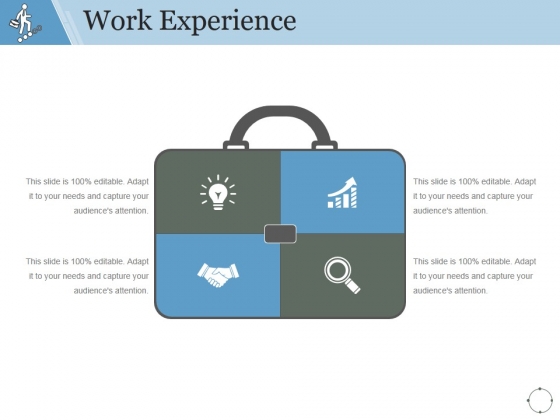 Work Experience Template 2 Ppt PowerPoint Presentation Guidelines
