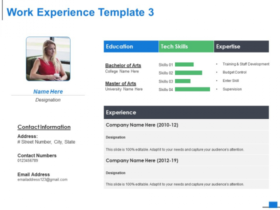 Work Experience Template Business Ppt PowerPoint Presentation Portfolio Design Templates