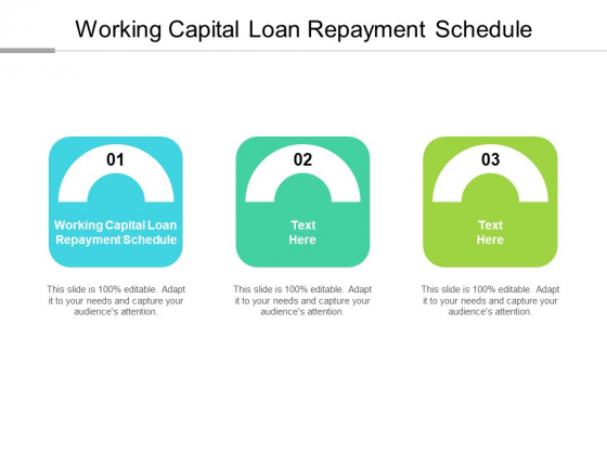 Working Capital Loan Repayment Schedule Ppt PowerPoint Presentation Icon Structure Cpb