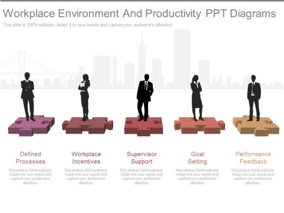 Workplace Environment And Productivity Ppt Diagrams