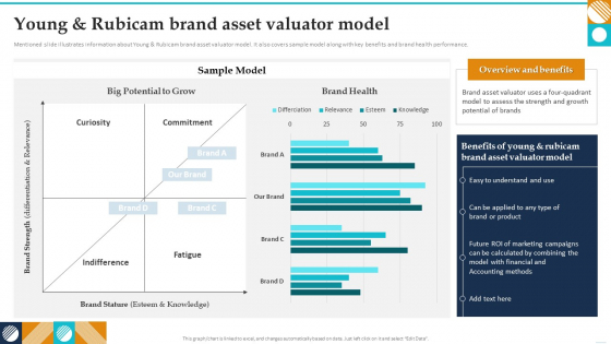 Young And Rubicam Brand Asset Valuator Model Guide To Brand Value Themes PDF