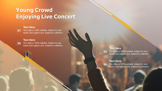 Young Crowd Enjoying Live Concert Ppt Pictures Visual Aids PDF