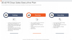 30 60 90 Days Sales Executive Plan Professional PDF 30 60 90 Days Sales Executive Plan Professional PDF