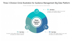 3 Division Circle Illustration For Audience Management Big Data Platform Ppt PowerPoint Presentation File Background Designs PDF