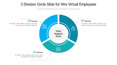 3 Division Circle Slide For Hire Virtual Employees Ppt PowerPoint Presentation File Samples PDF