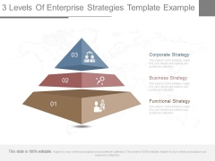 3 Levels Of Enterprise Strategies Template Example