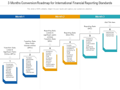 3 Months Conversion Roadmap For International Financial Reporting Standards Introduction