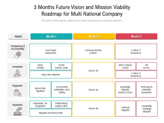 3 Months Future Vision And Mission Viability Roadmap For Multi National Company Ideas
