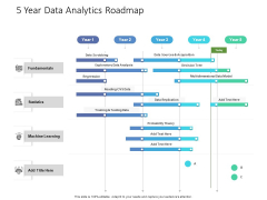 5 Year Data Analytics Roadmap Infographics