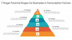 7 Stage Pyramid Stages For Examples In Transcription Factors Ppt PowerPoint Presentation Gallery Master Slide PDF 7 Stage Pyramid Stages For Examples In Transcription Factors Ppt PowerPoint Presentation Gallery Master Slide PDF