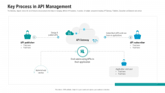 API Ecosystem Key Process In API Management Infographics PDF API Ecosystem Key Process In API Management Infographics PDF