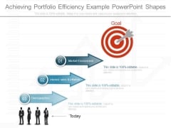 Achieving Portfolio Efficiency Example Powerpoint Shapes Achieving Portfolio Efficiency Example Powerpoint Shapes