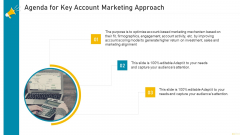 Agenda For Key Account Marketing Approach Graphics PDF