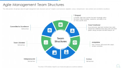 Agile Project Management Strategy Agile Management Team Structures Infographics PDF