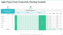 Agile Project Team Delegation IT Agile Project Team Productivity Planning Template Graphics PDF