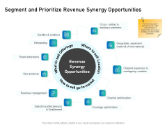 Alliance Evaluation Segment And Prioritize Revenue Synergy Opportunities Ppt Inspiration Designs Download PDF Alliance Evaluation Segment And Prioritize Revenue Synergy Opportunities Ppt Inspiration Designs Download PDF