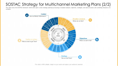 Amalgamation Marketing Pitch Deck SOSTAC Strategy For Multichannel Marketing Plans Control Themes PDF