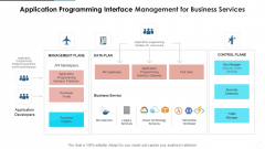 Application Programming Interface Management For Business Services Infographics PDF Application Programming Interface Management For Business Services Infographics PDF