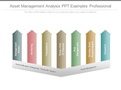 Asset Management Analysis Ppt Examples Professional