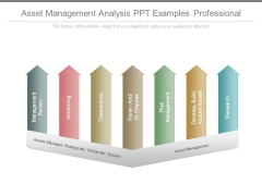 Asset Management Analysis Ppt Examples Professional Asset Management Analysis Ppt Examples Professional