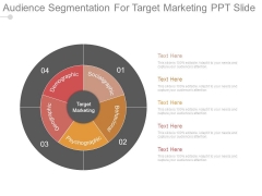 Audience Segmentation For Target Marketing Ppt Slide Audience Segmentation For Target Marketing Ppt Slide