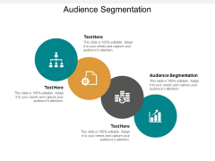 Audience Segmentation Ppt PowerPoint Presentation Model Example Cpb Audience Segmentation Ppt PowerPoint Presentation Model Example Cpb