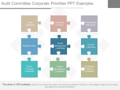 Audit Committee Corporate Priorities Ppt Examples