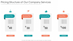 B2B Sales Procedure Counselling Pricing Structure Of Our Company Services Download PDF B2B Sales Procedure Counselling Pricing Structure Of Our Company Services Download PDF