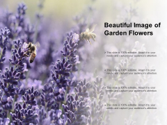 Beautiful Image Of Garden Flowers Ppt PowerPoint Presentation File Skills Beautiful Image Of Garden Flowers Ppt PowerPoint Presentation File Skills
