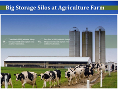 Big Storage Silos At Agriculture Farm Ppt PowerPoint Presentation File Icons PDF Big Storage Silos At Agriculture Farm Ppt PowerPoint Presentation File Icons PDF