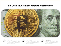 Bit Coin Investment Growth Vector Icon Ppt PowerPoint Presentation Professional Vector PDF Bit Coin Investment Growth Vector Icon Ppt PowerPoint Presentation Professional Vector PDF