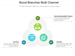 Boost Branches Multi Channel Ppt PowerPoint Presentation Layouts Styles Cpb Pdf