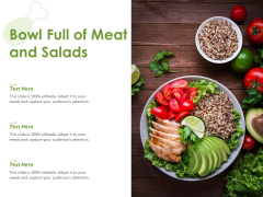 Bowl Full Of Meat And Salads Ppt PowerPoint Presentation Slides Graphic Tips