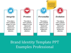 Brand Identity Template Ppt Examples Professional Ppt PowerPoint Presentation Layouts Example Introduction