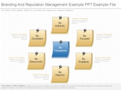 Branding And Reputation Management Example Ppt Example File Branding And Reputation Management Example Ppt Example File