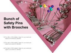 Bunch Of Safety Pins With Brooches Ppt Powerpoint Presentation Professional Maker