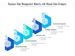 Business Data Management Maturity With Manual Data Drudgery Ppt PowerPoint Presentation Gallery Example Introduction PDF