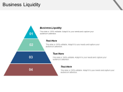 Business Liquidity Ppt PowerPoint Presentation Portfolio Graphics