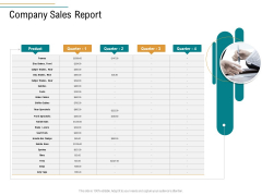 Business Operations Assessment Company Sales Report Ppt Infographics Guide PDF