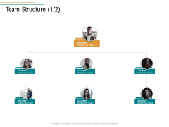 Business Operations Assessment Team Structure Ppt PowerPoint Presentation Professional Format PDF Business Operations Assessment Team Structure Ppt PowerPoint Presentation Professional Format PDF
