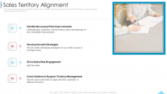 Business Profile For Sales Negotiations Sales Territory Alignment Ppt Inspiration Topics PDF